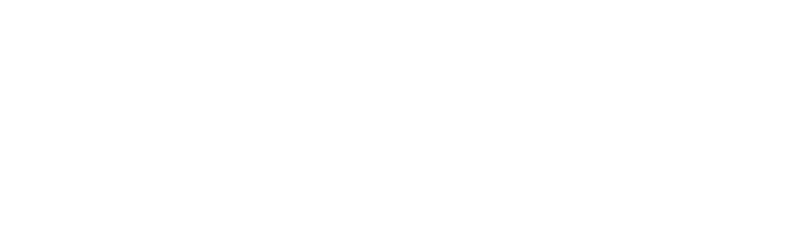 Ritz ADU Design Build